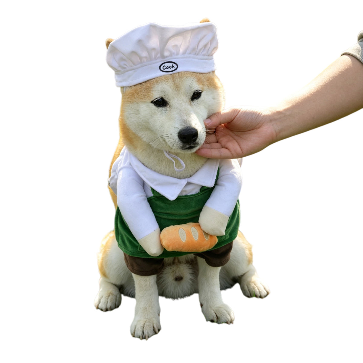 420c74aa0d4f401a815ad540f5afc333